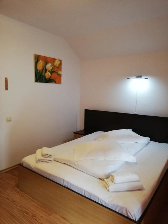 Гостевой дом Villa La Gabi Азуга-32